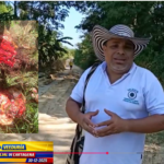 DENUNCIA Y TUTELA POR PRESUNTO ACOSO LABORAL EN CONTRA DE JUEZ Y SECRETARIA EN SIMITÍ – BOLIVAR NO PROSPERARON.